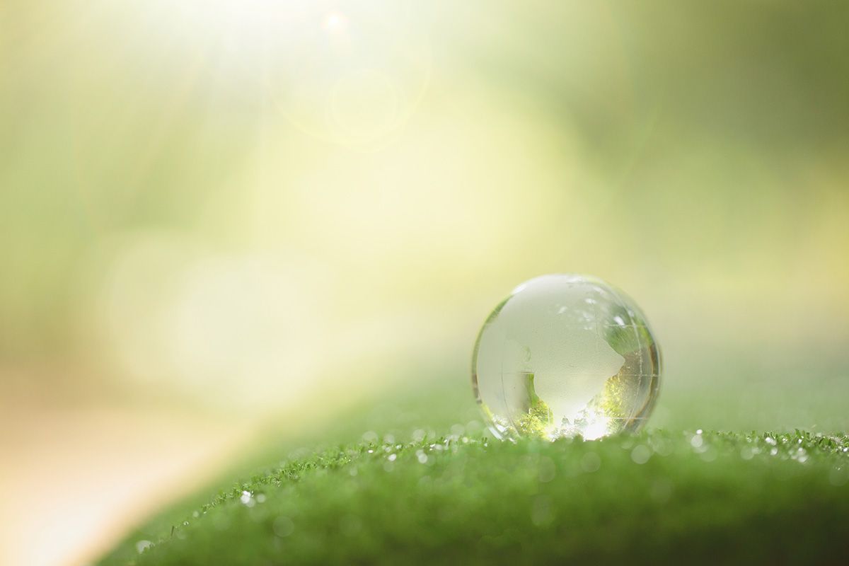 Close up of crystal globe resting on grass in a forest - environment concept